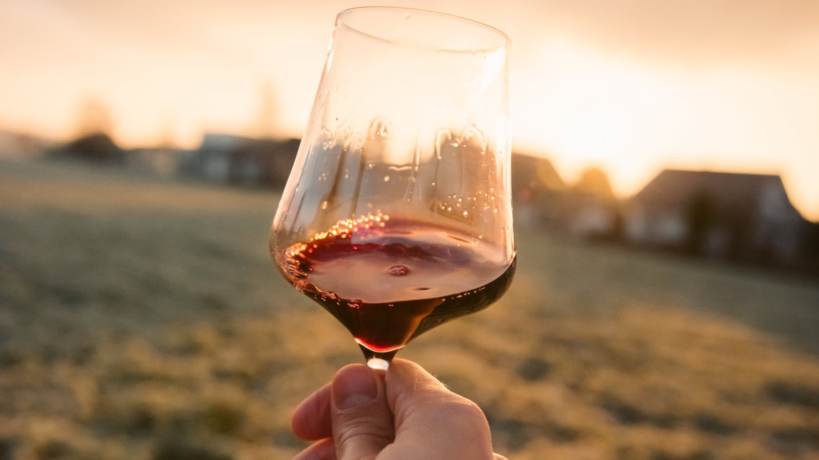 Déguster les vins du Médoc - Verre de vin Unsplash