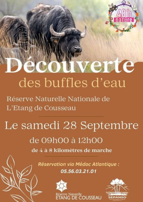 Buffle Samedi 28 Septembre