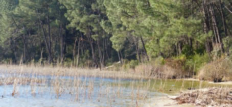 bord de lac piqueyrot