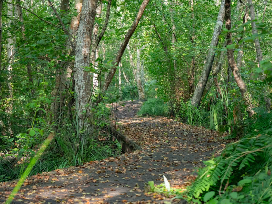 Sentier de la Berle_©MAT_-03-2