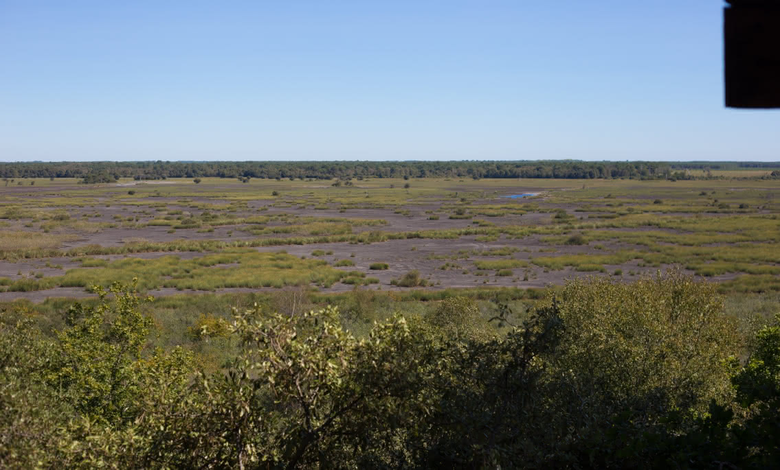 Lacanau - Étang de Cousseau 6 - © David Remazeilles