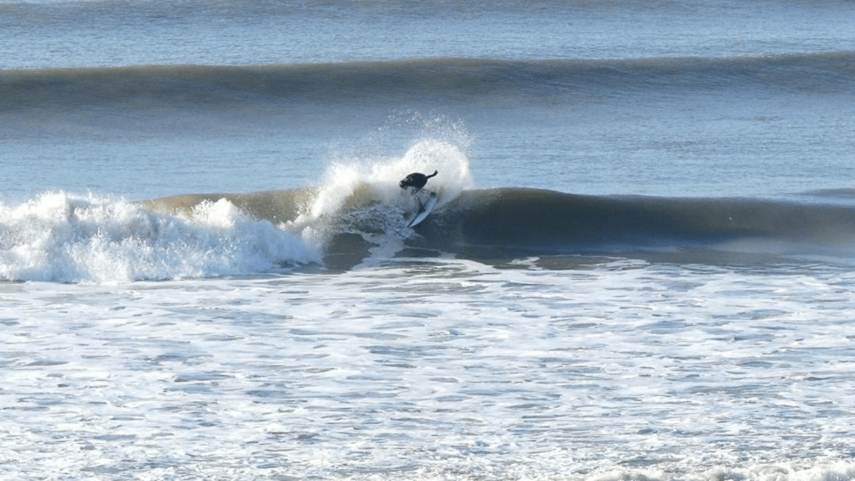 Next Wave Surfing